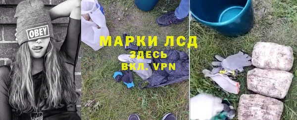 сатива Мегион