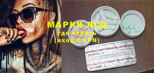 сатива Мегион